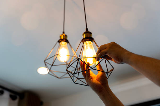 Best Electrician Near Me  in Mayer, MN