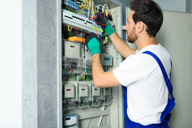Best Affordable Electrician  in Mayer, MN