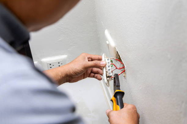 Best Ceiling Fan Installation Electrician  in Mayer, MN