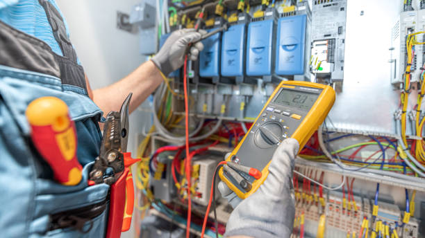 Best Industrial Electrical Services  in Mayer, MN